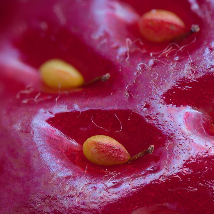 extreme-close-up-of-a-strawberry-728x728