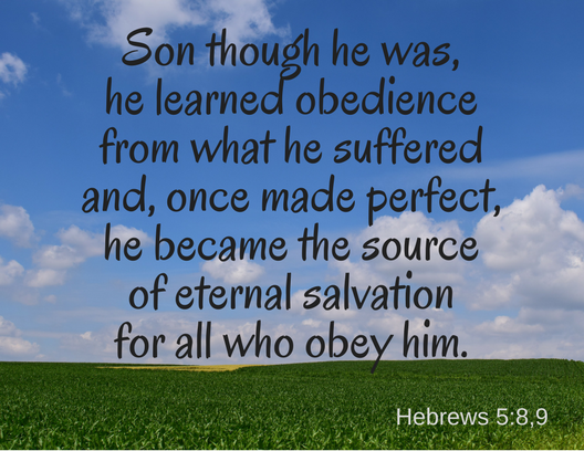 Hebrews 5_8,9