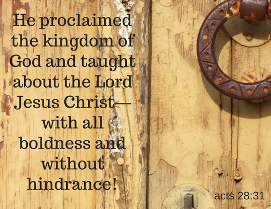 acts 28 31