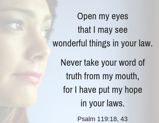Psalm 119 18 43