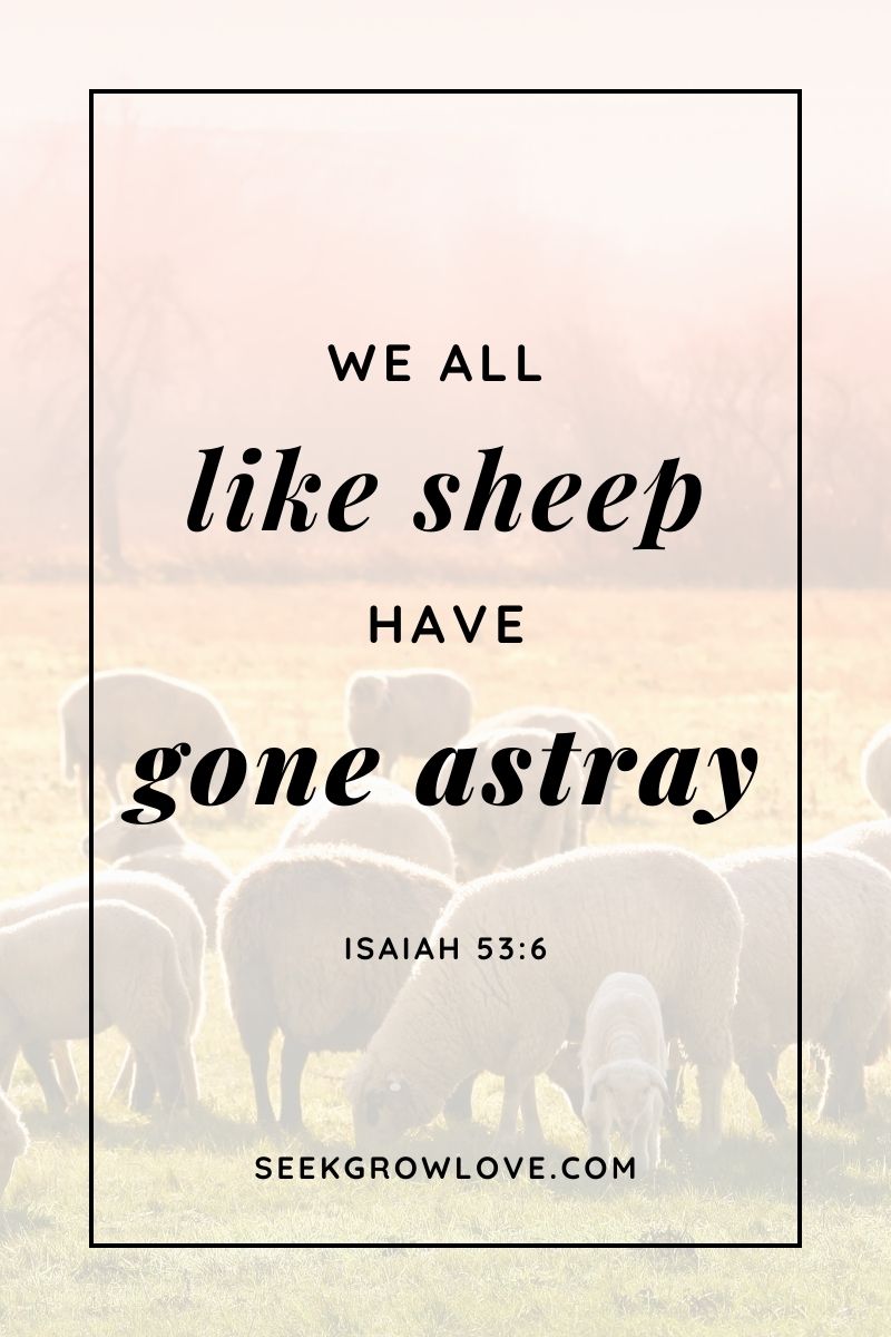 We all like sheep have gone astray